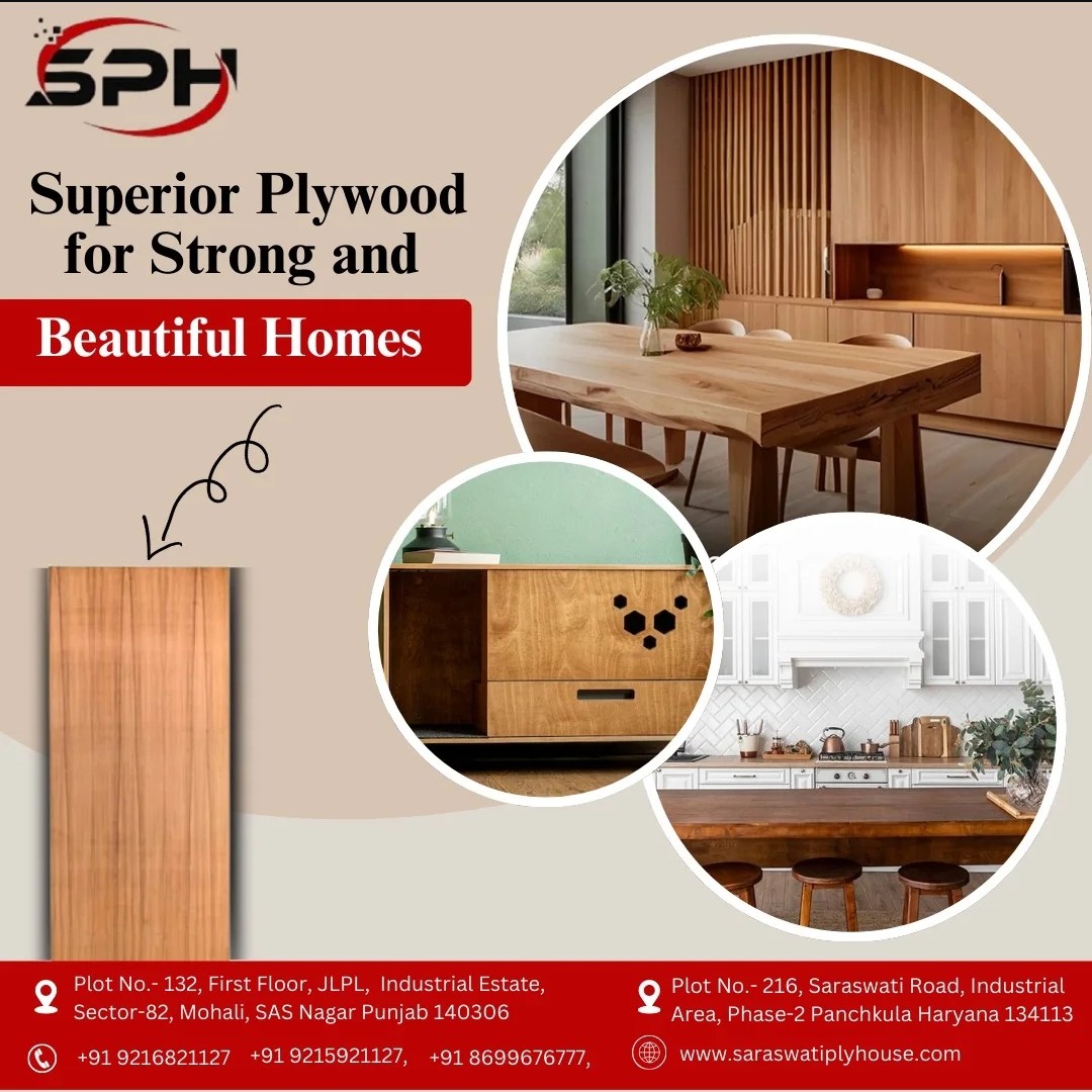 Saraswati Plyhouse Work 1