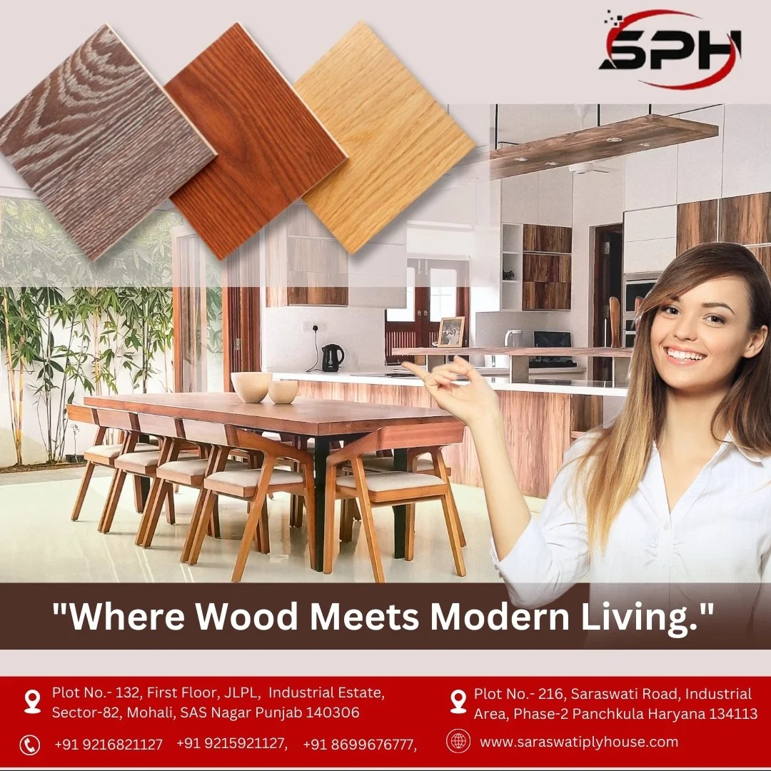 Saraswati Plyhouse Work 6