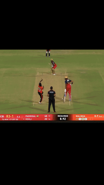 GIF 1